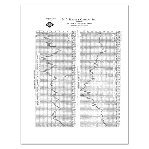 The 27 Year Picture: Stock Charts, 116 Companies 1953 - 1979 M.C. Horsey & Company - Image 3