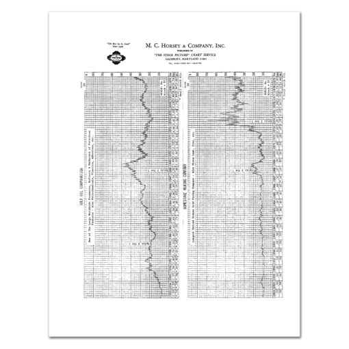 The 27 Year Picture: Stock Charts, 116 Companies 1953 - 1979 M.C. Horsey & Company - Image 5